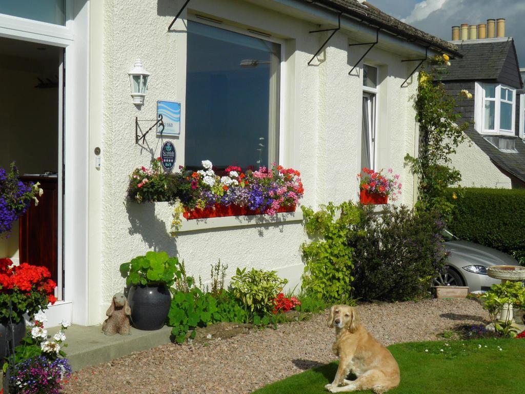 No12 Bed And Breakfast, St. Andrews Exterior photo